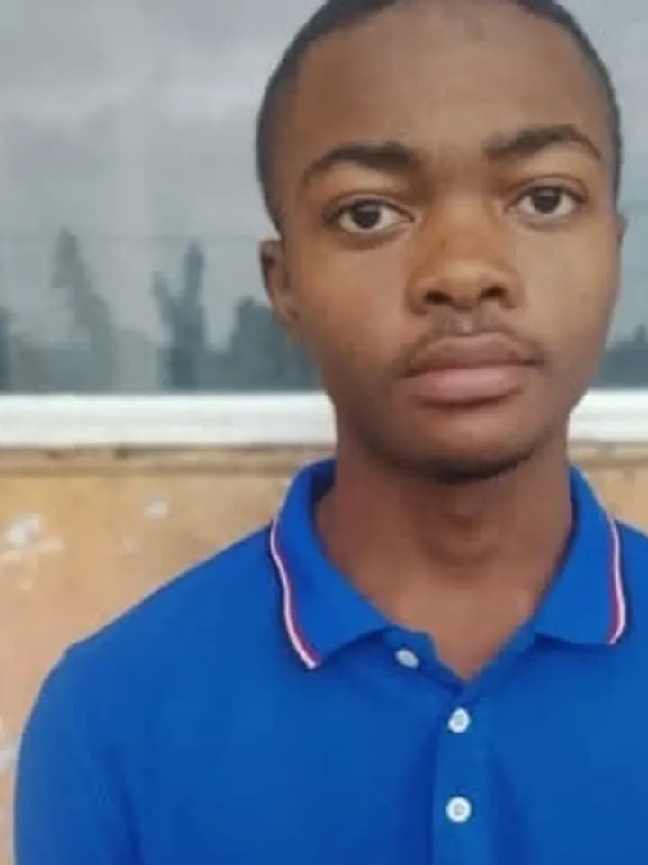 Teudem Franck, Développeur web